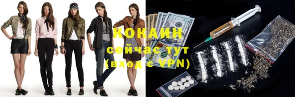 индика Абаза