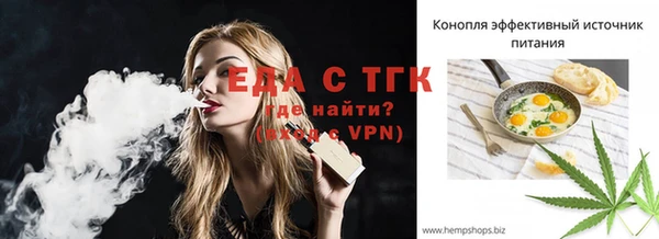 индика Абаза