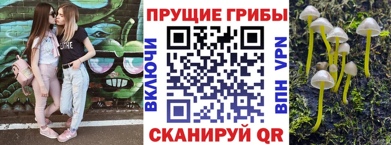 Галлюциногенные грибы ЛСД  kraken вход  Черемхово  цены  